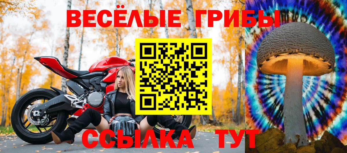 Псилоцибиновые грибы Magic Shrooms Апрелевка